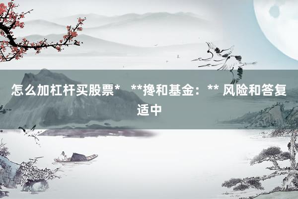 怎么加杠杆买股票*   **搀和基金:** 风险和答复适中