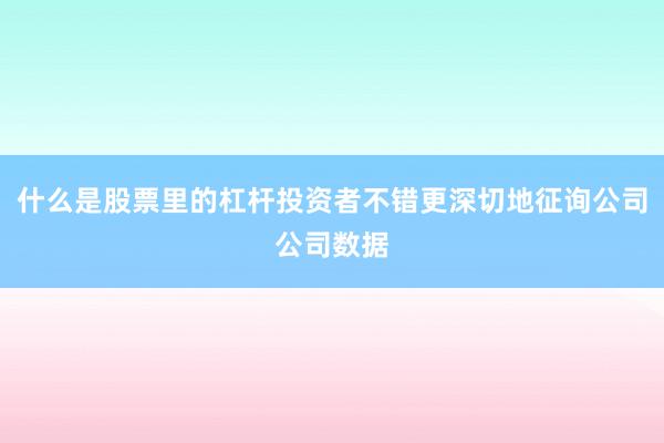 什么是股票里的杠杆投资者不错更深切地征询公司公司数据