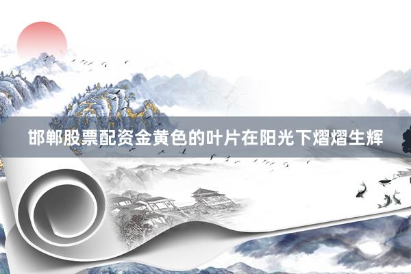 邯郸股票配资金黄色的叶片在阳光下熠熠生辉
