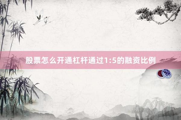 股票怎么开通杠杆通过1:5的融资比例