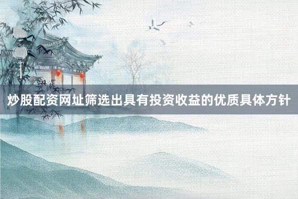 炒股配资网址筛选出具有投资收益的优质具体方针