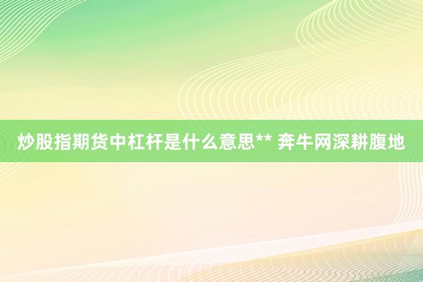 炒股指期货中杠杆是什么意思** 奔牛网深耕腹地