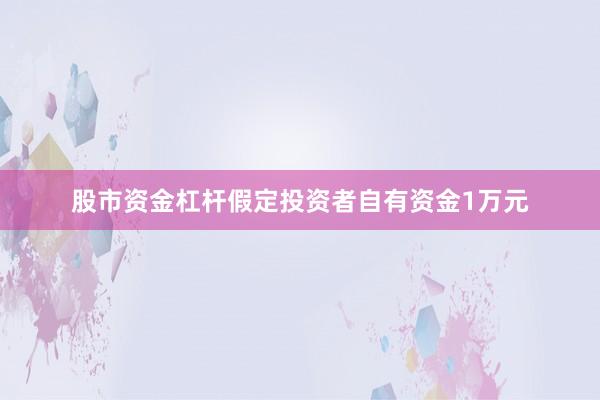 股市资金杠杆假定投资者自有资金1万元