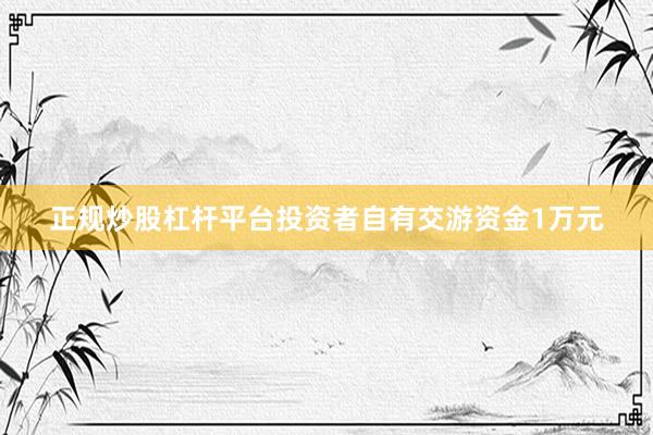正规炒股杠杆平台投资者自有交游资金1万元