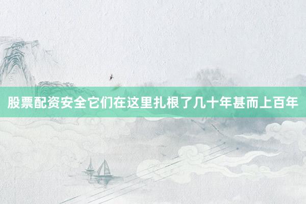 股票配资安全它们在这里扎根了几十年甚而上百年