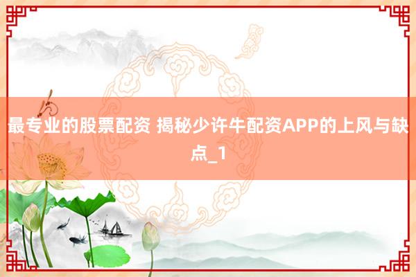 最专业的股票配资 揭秘少许牛配资APP的上风与缺点_1