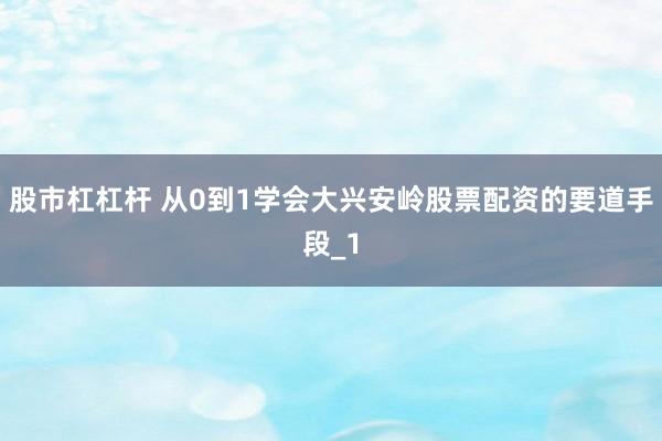 股市杠杠杆 从0到1学会大兴安岭股票配资的要道手段_1